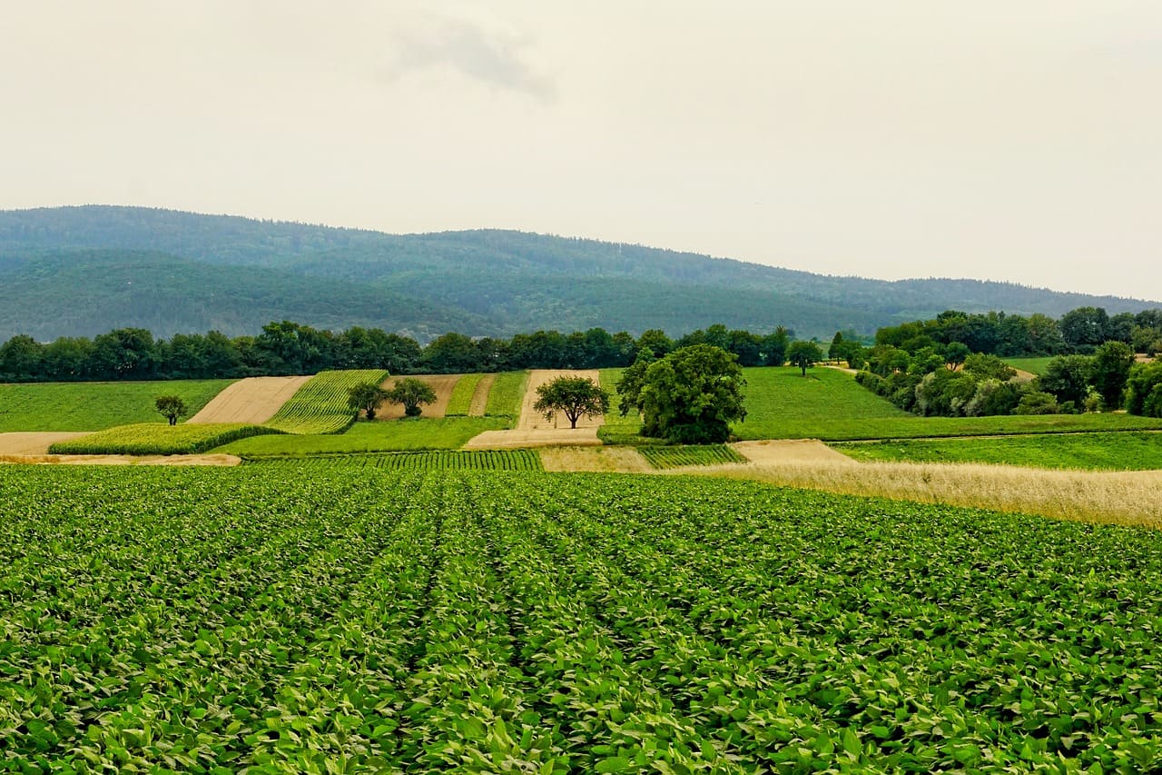 Agriculture farms near me .jpg